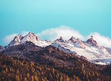 乐鱼leyu-内维尔谈切尔西球员围圈：像邪教，纯粹作秀，毫无意义，荒诞可笑